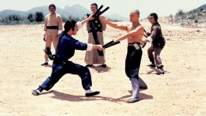 kungfu attack from Return to the 36th Chamber